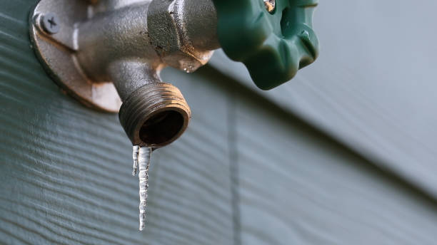 Shower Repair Services in Millcreek, UT